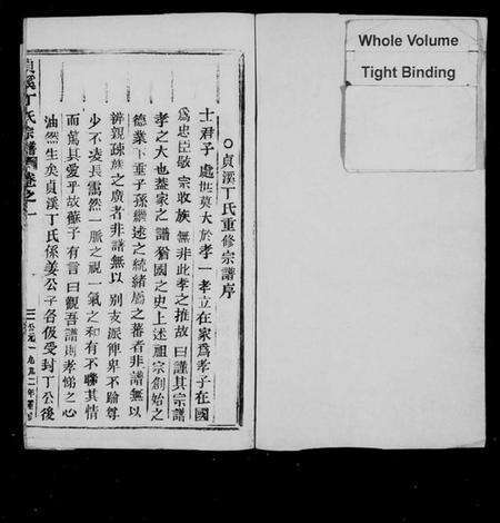 浙江丁氏族谱-贞溪丁氏宗谱 [8卷,及卷首].pdf电子版预览图2