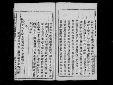 浙江丁氏族谱-贞溪丁氏宗谱 [8卷,及卷首].pdf电子版预览图3