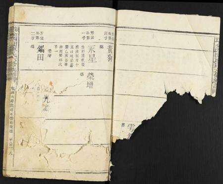 江西廖氏族谱-瑞金西关廖氏六修族谱.pdf电子版预览图3