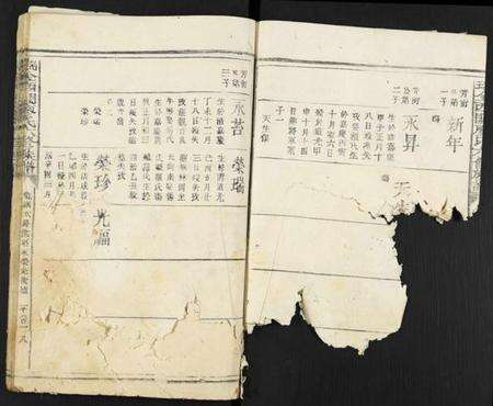 江西廖氏族谱-瑞金西关廖氏六修族谱.pdf电子版预览图4