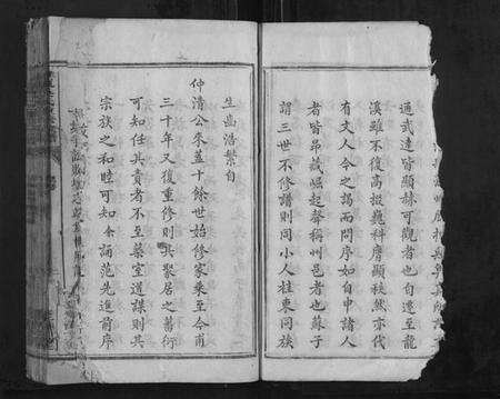 湖南吴氏族谱-桂东吴氏重修族谱[不分卷].pdf电子版预览图5