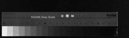 浙江赵氏族谱-赵氏家乘 [25卷].pdf电子版缩略图