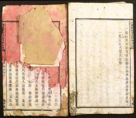 湖南吴氏族谱-醴北枫树桥吴氏族谱.pdf电子版缩略图