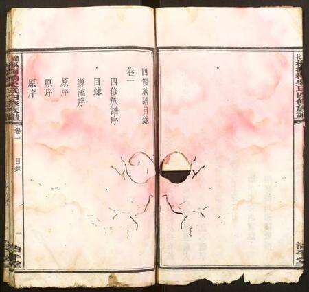 湖南吴氏族谱-醴北枫树桥吴氏族谱.pdf电子版预览图4