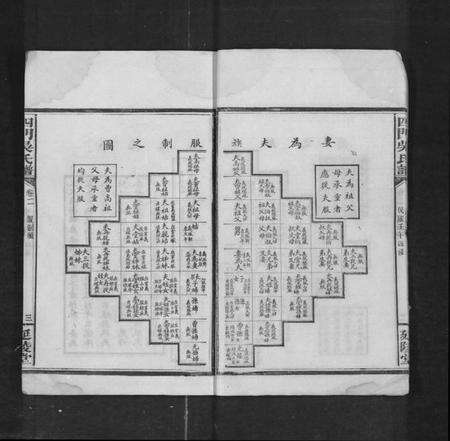 湖南吴氏族谱-四门吴氏谱 [24卷].pdf电子版预览图3