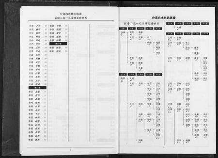 江西林氏族谱-分宜钤北白水林氏族谱.pdf电子版预览图4