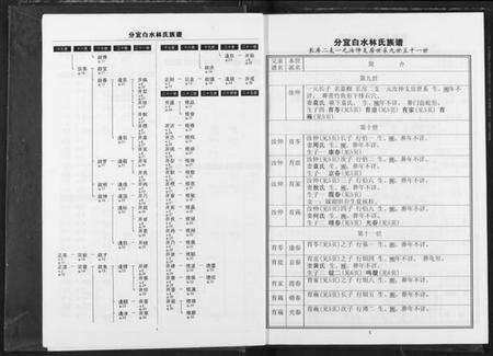 江西林氏族谱-分宜钤北白水林氏族谱.pdf电子版预览图5