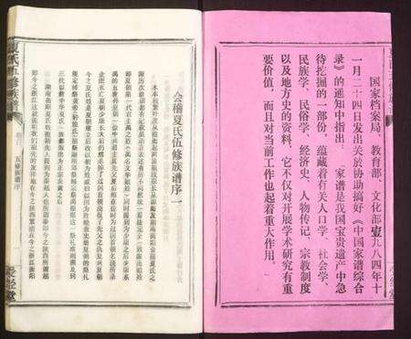 湖南夏氏族谱-夏氏五修族谱.pdf电子版预览图2