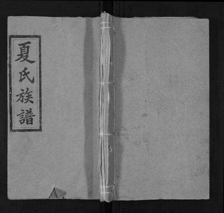 湖南夏氏族谱-夏氏八修族谱.pdf电子版缩略图