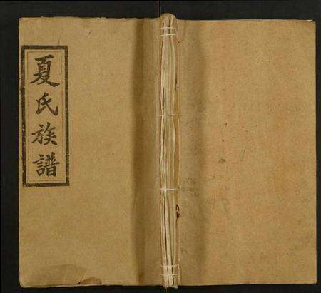 湖南夏氏族谱-夏氏八修族谱.pdf电子版缩略图