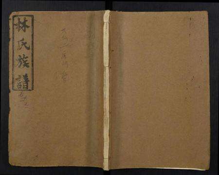 江西林氏族谱-林氏族谱.pdf电子版缩略图