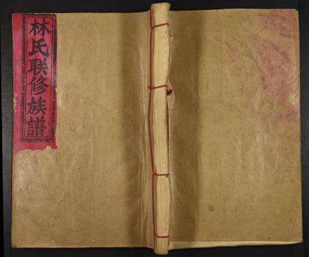 江西林氏族谱-林氏联修族谱.pdf电子版缩略图