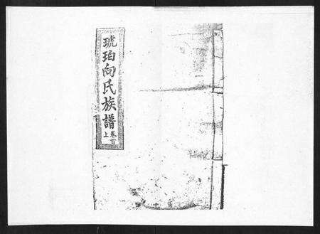 湖南向氏族谱-向氏族谱.pdf电子版缩略图