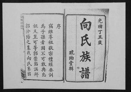 湖南向氏族谱-向氏族谱.pdf电子版预览图2