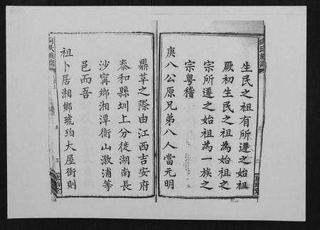 湖南向氏族谱-向氏族谱.pdf电子版预览图4