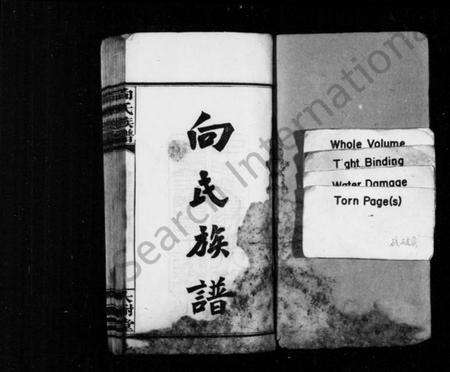 湖南向氏族谱-向氏族谱 [2卷,首尾各1卷].pdf电子版预览图2