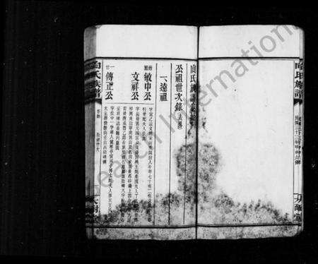 湖南向氏族谱-向氏族谱 [2卷,首尾各1卷].pdf电子版预览图4