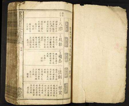 江西林氏族谱-雩邑西乡罗家渡林氏迭修族谱.pdf电子版预览图2