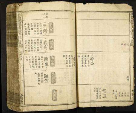 江西林氏族谱-雩邑西乡罗家渡林氏迭修族谱.pdf电子版预览图3