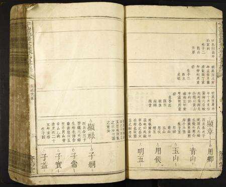 江西林氏族谱-雩邑西乡罗家渡林氏迭修族谱.pdf电子版预览图4