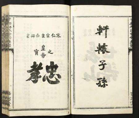 江西林氏族谱-雩都林氏合修族谱.pdf电子版预览图5