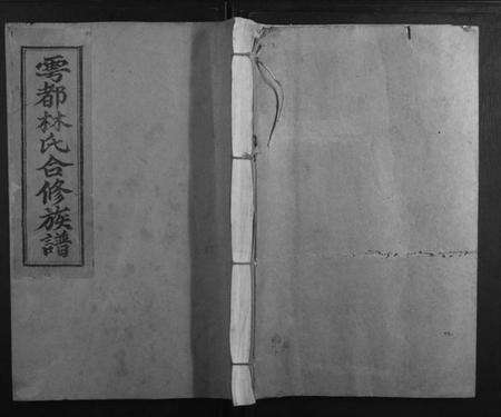 江西林氏族谱-雩都林氏合修族谱[13卷].pdf电子版缩略图