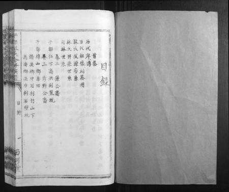 江西林氏族谱-雩都林氏合修族谱[13卷].pdf电子版预览图1