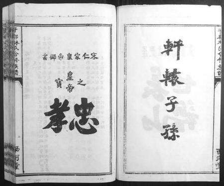 江西林氏族谱-雩都林氏合修族谱[13卷].pdf电子版预览图5