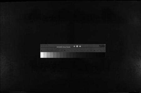 浙江金氏族谱-金氏宗谱 [不分卷].pdf电子版缩略图