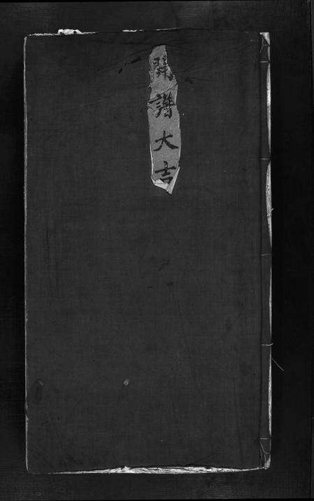 浙江金氏族谱-金氏宗谱 [不分卷].pdf电子版预览图1