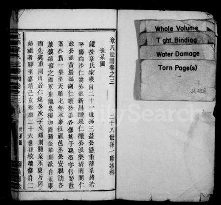 浙江章氏族谱-金华章氏宗谱 [卷数不明].pdf电子版预览图2