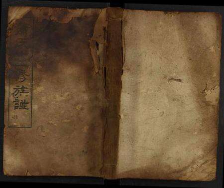 湖南萧氏族谱-萧氏十二修族谱 [残卷].pdf电子版缩略图