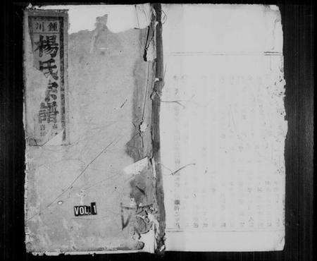 浙江杨氏族谱-锺川杨氏宗谱 [残卷].pdf电子版预览图1