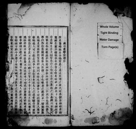 浙江杨氏族谱-锺川杨氏宗谱 [残卷].pdf电子版预览图2