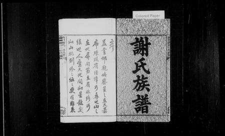 湖南谢氏族谱-南田谢氏三修族谱 [10卷].pdf电子版预览图3