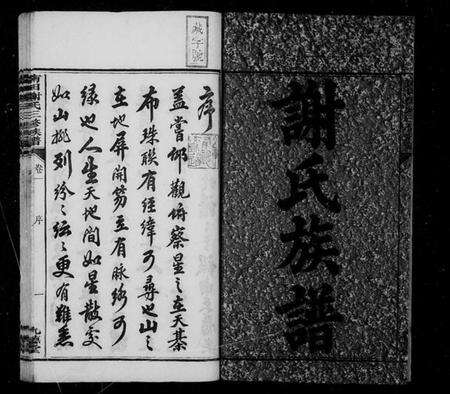 湖南谢氏族谱-南田谢氏三修族谱 [10卷].pdf电子版预览图4