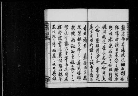 湖南谢氏族谱-南田谢氏三修族谱 [10卷].pdf电子版预览图5