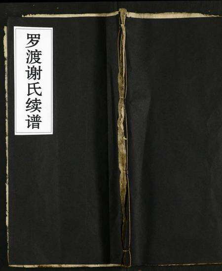 湖南谢氏族谱-罗渡谢氏续谱 [残卷].pdf电子版缩略图