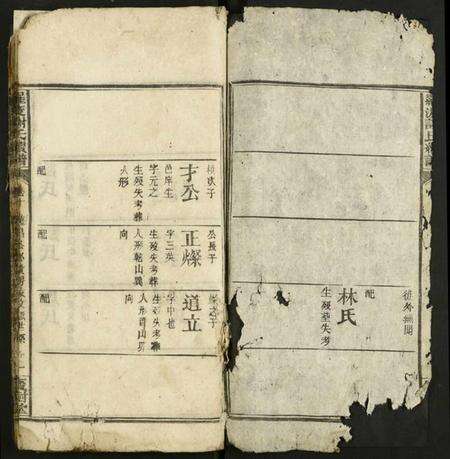 湖南谢氏族谱-罗渡谢氏续谱 [残卷].pdf电子版预览图2