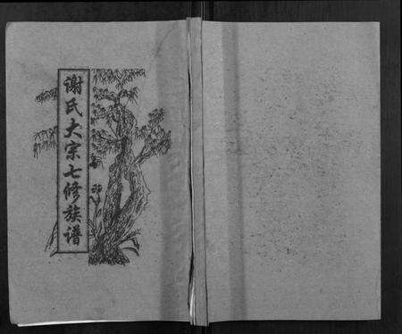 湖南谢氏族谱-谢氏七修族谱.pdf电子版缩略图