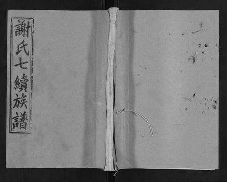 湖南谢氏族谱-谢氏七续族谱[29卷首1卷末3卷].pdf电子版缩略图