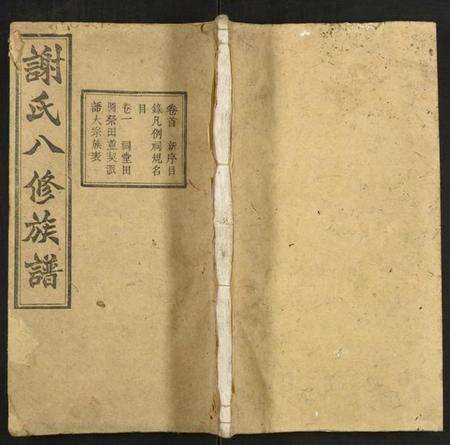 湖南谢氏族谱-谢氏八修族谱.pdf电子版缩略图