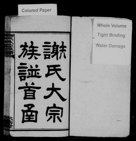 湖南谢氏族谱-谢氏大宗族谱 [12函,及首函].pdf电子版预览图2