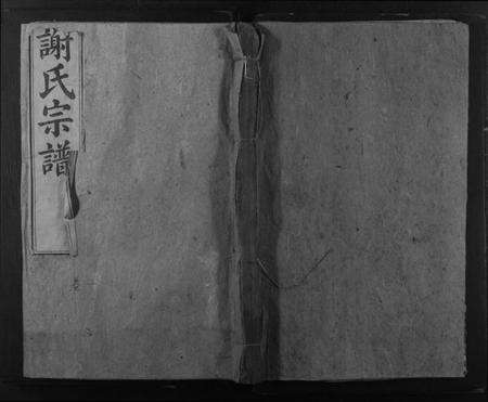 湖南谢氏族谱-谢氏宗谱.pdf电子版缩略图