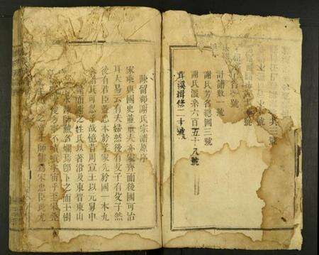 湖南谢氏族谱-谢氏族谱.pdf电子版缩略图