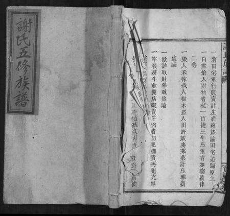 湖南谢氏族谱-谢氏族谱[12卷首1卷].pdf电子版缩略图