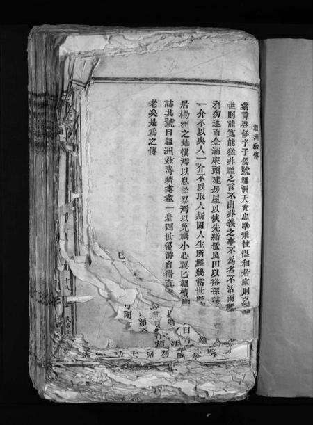 浙江陈氏族谱-陈氏宗谱 [不分卷].pdf电子版预览图3