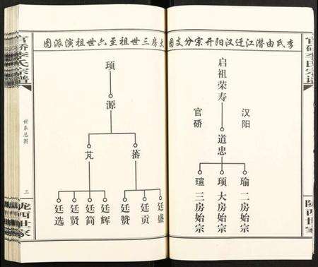 湖北李氏族谱-官桥李氏宗谱.pdf电子版预览图4