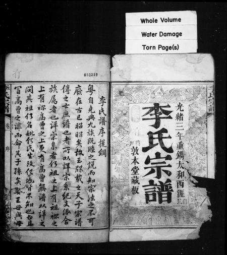 湖北李氏族谱-李氏宗谱.pdf电子版预览图1