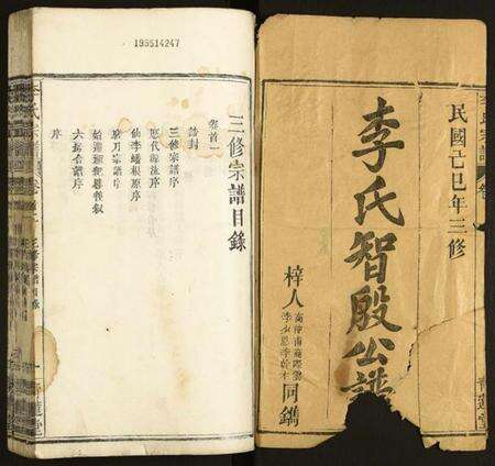 湖北李氏族谱-李氏宗谱.pdf电子版预览图1